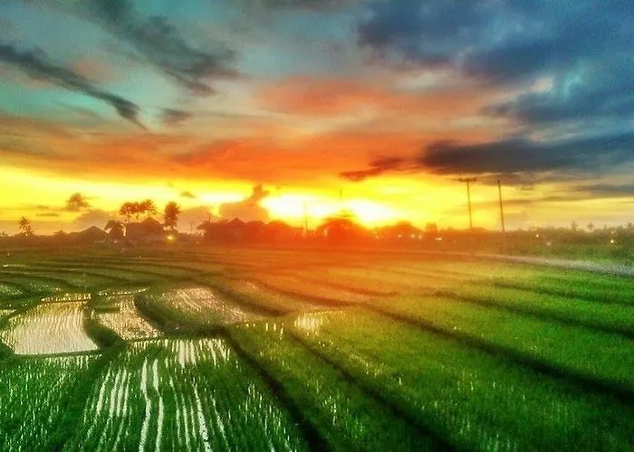Redsalt Bali ホリデーパーク 3*