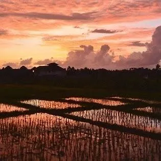 Redsalt Bali ホリデーパーク